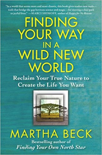 Finding Your Way in a Wild New World